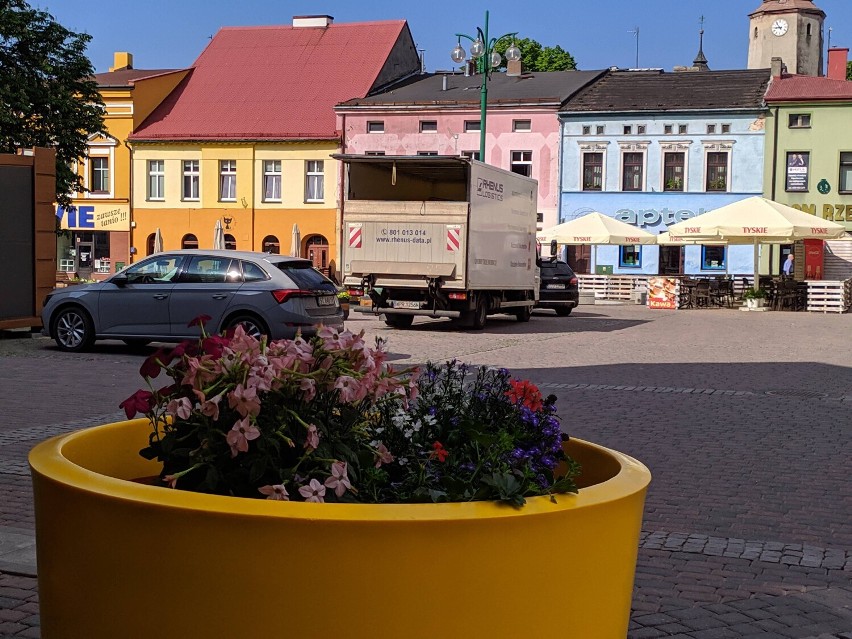 Lubliniecki rynek wypiękniał na wiosnę. Donice pełne kwiatów! W całym mieście coś kwitnie