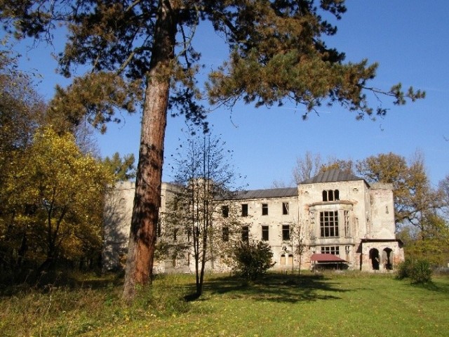 Pałac Skrzyńskich w Zagórzanach na liście ośmiu nadroższych zabytków w Polsce wystawionych na sprzedaż