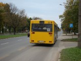 Autobusy w Sylwestra i Nowy Rok