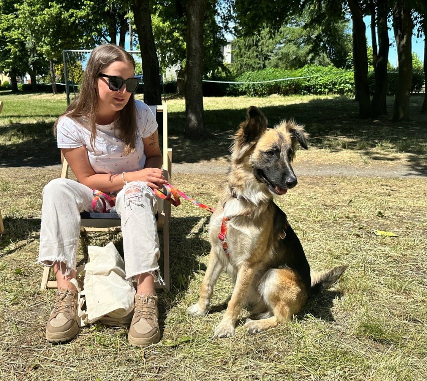 Festyn "Pomagamy zwierzętom". Zobacz psie piękności w parku im. Leszczyńskich Satyryków w Lesznie