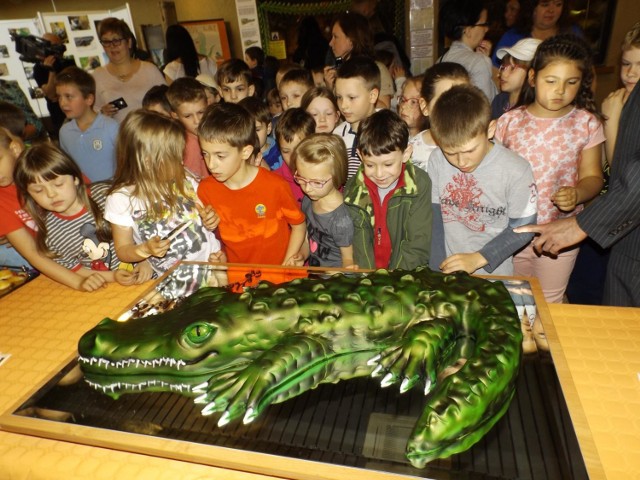 ZOO Płock. Aligatorzyca Marta obchodzi urodziny