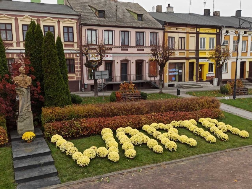 Święto Niepodległości.Chryzantemy w centrum Warty