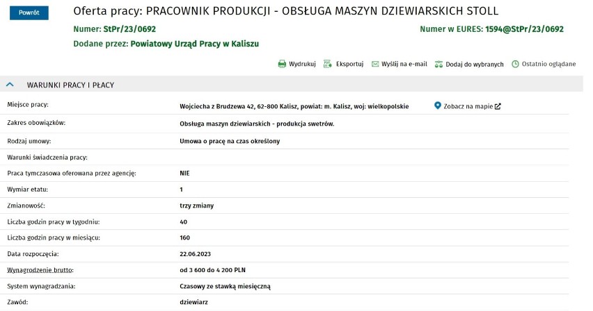 Oferty pracy w Kaliszu i powiecie kaliskim. Sprawdź, ile można zarobić 