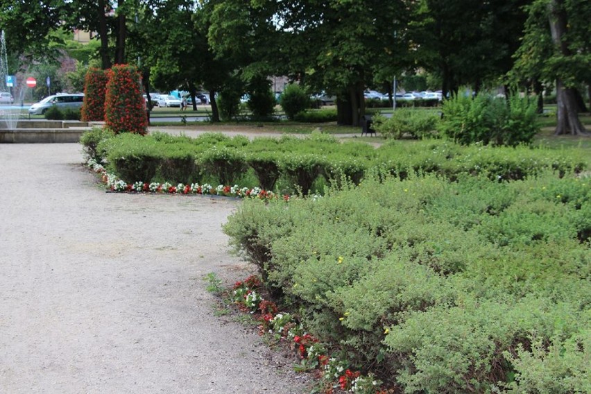 Park przy ul. Jana Pawła II w kwiatach. Niebawem rewitalizacja drugiej części [ZDJĘCIA]