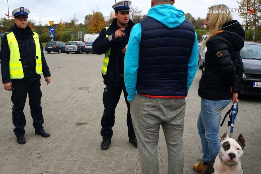 Pamiętaj o odblaskach w drodze na cmentarze 