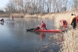 “Akwen 2022”: Mnóstwo ratowników i strażaków nad jeziorem Czapnica w Poznaniu. Zobacz zdjęcia