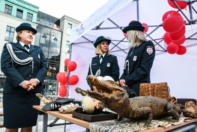 Dzień Krajowej Administracji Skarbowej to święto pracowników i funkcjonariuszy KAS, ustanowione na mocy art. 5 ustawy o Krajowej Administracji Skarbowej. Przypada na 21 dzień września. W tym roku w naszym województwie pracownicy i funkcjonariusze administracji skarbowej obchodzą je 12 września. 

Głównym elementem tegorocznej uroczystości stało się Nadanie Sztandaru Izbie Administracji Skarbowej w Bydgoszczy. Umieszczone na sztandarze słowa: „W służbie Ojczyźnie i Obywatelom” stanowią wyznacznik działań wszystkich pracowników KAS.

Podczas uroczystości (12 września) na Starym Rynku w Bydgoszczy wicewojewoda Józef Ramlau, w imieniu prezydenta RP, dokonał aktu dekoracji i odznaczył 11 wyróżnionych pracowników Złotym, Srebrnym i Brązowym Medalem za Długoletnią Służbę. Ponadto  Minister Tomasz Słaboszowski wraz z Andrzejem Paskiem, dyrektorem Izby Administracji Skarbowej w Bydgoszczy wręczyli 5 medali dla Zasłużonych dla Krajowej Administracji Skarbowej. 

Pracownikom kujawsko-pomorskiej KAS zostały wręczone awanse, a funkcjonariusze celno-skarbowi złożyli uroczyste ślubowanie.