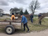 Gmina Wągrowiec. Mieszkańcy sami sobie posprzątali wieś. Wiosenne porządki w Redgoszczy 