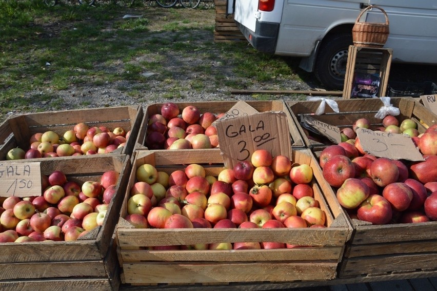Jabłka od 1,50 do 3 złotych za kilogram.