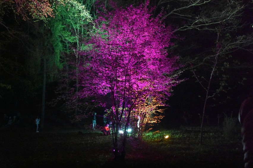 Festiwal Światła, Gorlice 2022, Park Miejski