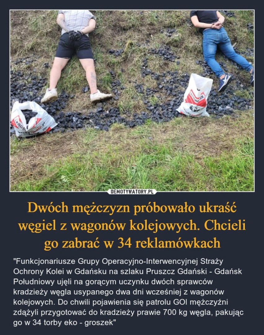 Te memy o Pruszczu Gdańskim rozbawiają internautów