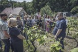 Winnica Giesche w Katowicach zachwyca. Niesamowita przestrzeń w sercu Górnego Śląska