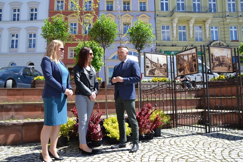 Będzie zielono! Kilkaset krzewów przy drodze w Drogosławiu