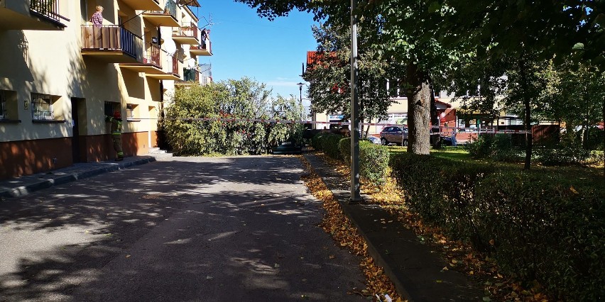 Mocno wieje w regionie. Strażacy z Tarnowa i Dąbrowy Tarnowskiej usuwają powalone drzewa i konary. Jedno z nich spadło na zaparkowane auta