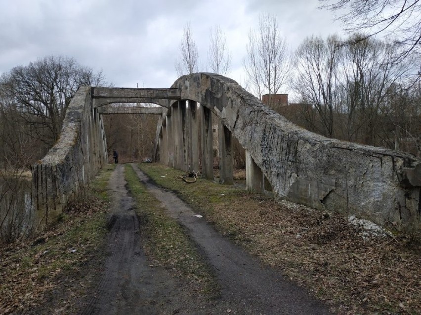 Zapomniana poniemiecka fabryka w Żarkach Wielkich straszy ruinami. 