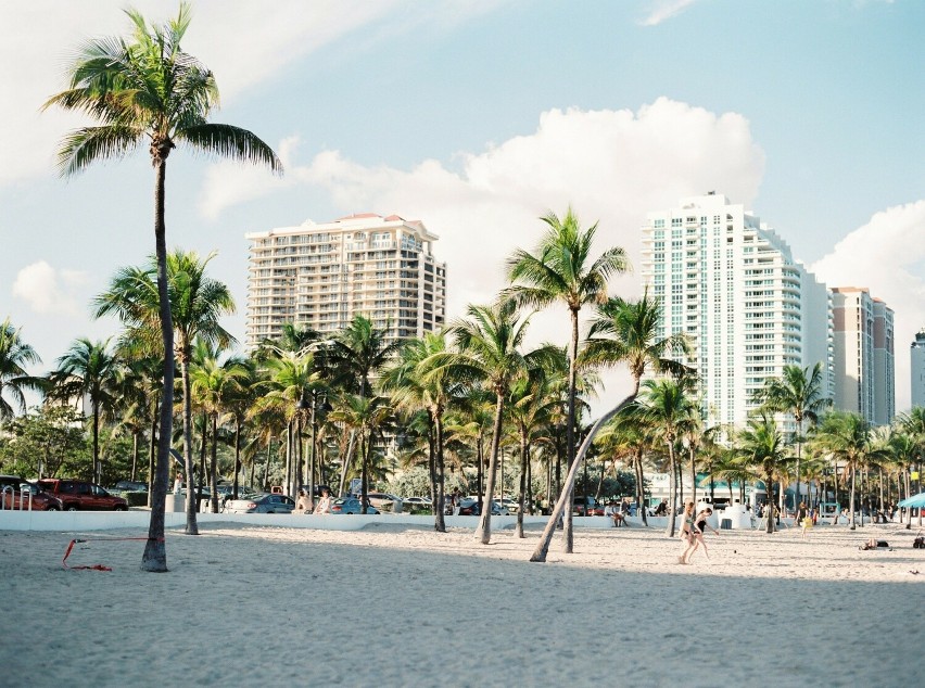 Miami wyrosło na terenach pierwotnie bagnistych, starannie...
