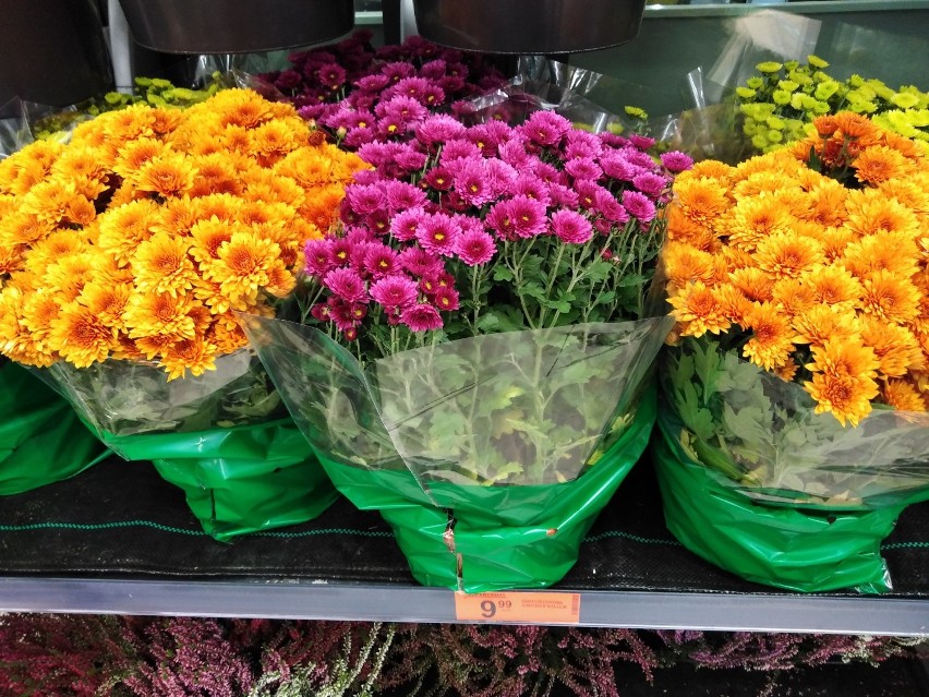 Żywe kwiaty można kupić tanio w marketach, bukiety kosztują...