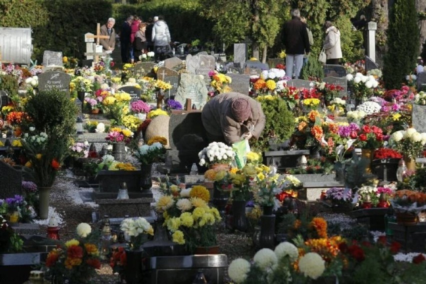 Organizacja ruchu na cmentarzu w Zgorzelcu