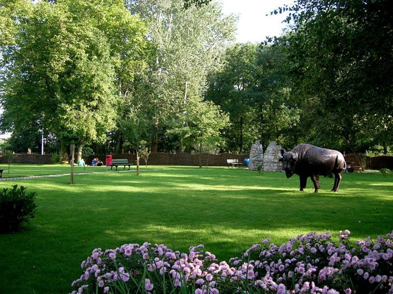 Szlakiem Lubuskich Pereł w Koronie. Park Krasnala w Nowej Soli