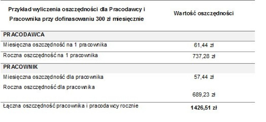 Analiza Sodexo Benefits and Rewards Polska przygotowana przy...