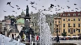 One day in Kraków, czyli co widzi turysta [wideo]