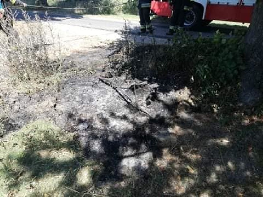 Pożar trawy pod Skokami. Interweniowali strażacy z OSP Skoki