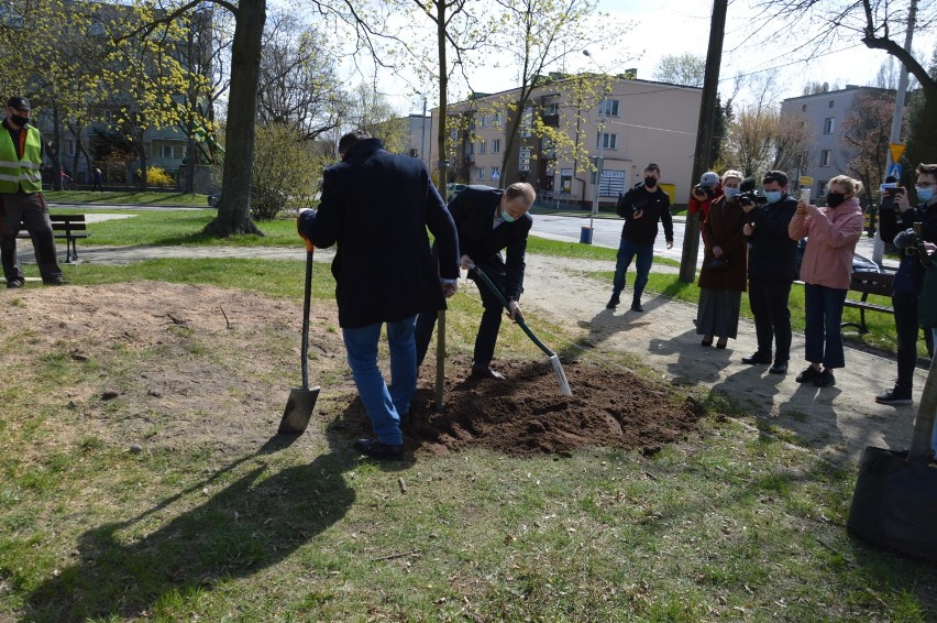 Dzień Ziemi w Skierniewicach. Prezydent miasta włączył się w akcję sadzenia drzew w mieście