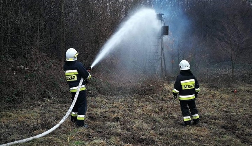 Pożar ambony myśliwskiej w Jadownikach przy granicy lasu. To było podpalenie? [ZDJĘCIA]