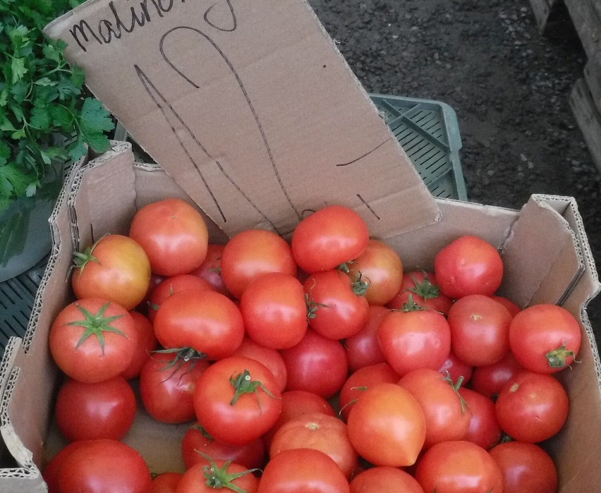 Pomidory malinowe 12 złotych za kilogram