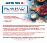 North Fish szuka pracowników - aplikuj już dziś!