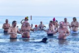 WOŚP 2012: "Gdyńskie Morsy" kwestowały na plaży [zdjęcia, wideo]