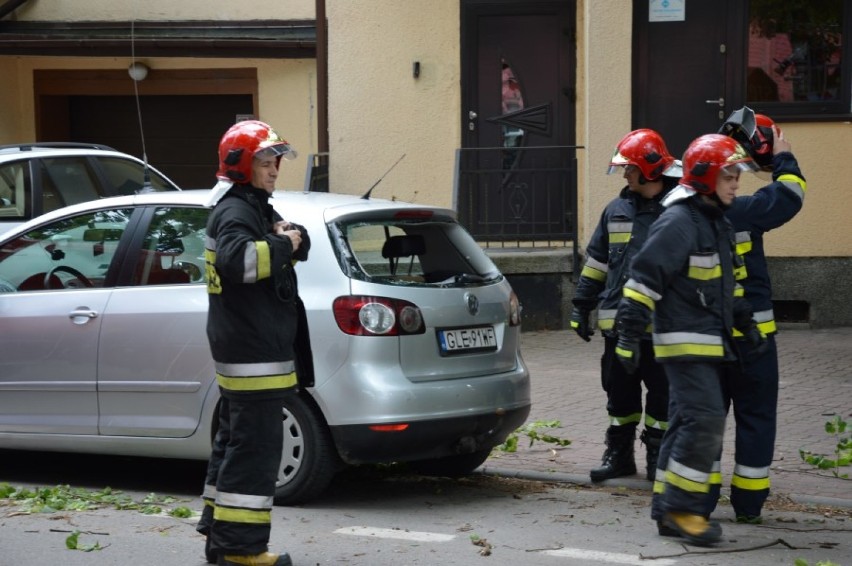 Konar spadł na auto. Interweniowała straż pożarna ZDJĘCIA,WIDEO