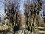 Zbąszyński park w lutowym słońcu [Zdjęcia]