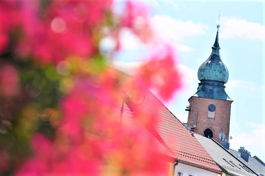 Sieradz w scenerii pełni lata. Zobacz ZDJĘCIA. Czekamy na Wasze