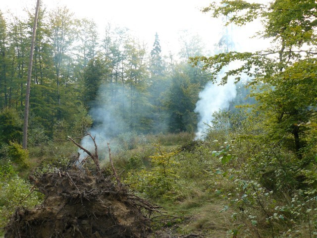 Leśnictwo Wojanowo. Strażacy gasili pożar lasu. Zdjęcia