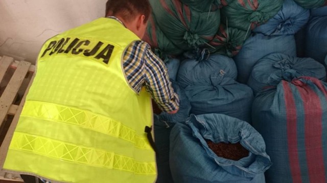 Policjanci z Piły poinformowali w poniedziałek o zatrzymaniu 42-letniego mieszkańca Jastrowia. W należących do niego pomieszczeniach gospodarczych znaleziono 600 kg nielegalnego tytoniu.

CZYTAJ WIĘCEJ: Policjanci z Piły przechwycili 600 ton tytoniu