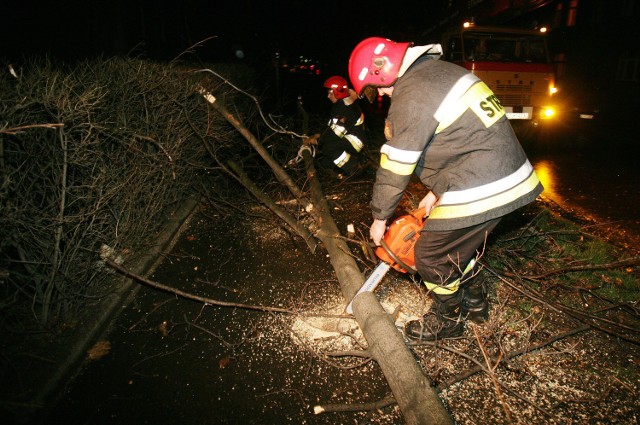 Wichura w Legnicy: Pracowita noc strażaków
