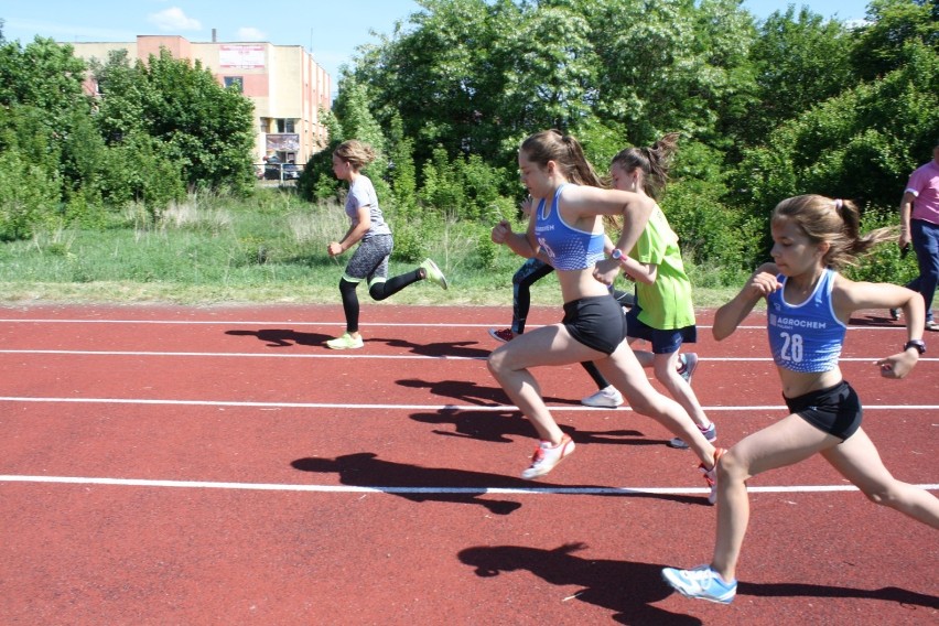 Sport. Uczniowie Szkoły Podstawowej nr 1 w Człuchowie zostali mistrzami powiatu w czwórboju lekkoatletycznym