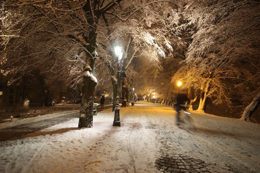 Zima zagościła w Rzeszowie. Zobacz niezwykłe zdjęcia internauty [GALERIA] 