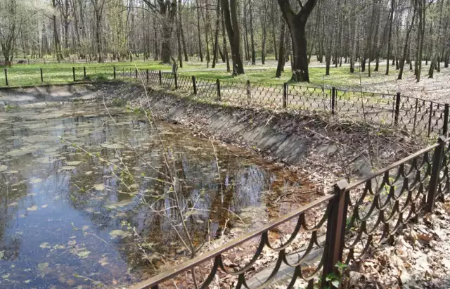 Dziś wygląd stawu odstrasza od spacerów w jego pobliżu. To się zmieni, gdy nową nieckę wypełni czysta woda i piękne rośliny