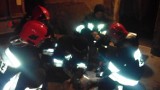 Strażacy z Bytowa uratowali jelonka. Zwierzę znalazło się w piwnicy przy ulicy Kochanowskiego 