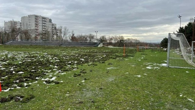 Dziki zrujnowały boisko sportowe w Nowej Hucie. Straty wyceniono na 60 tysięcy zł