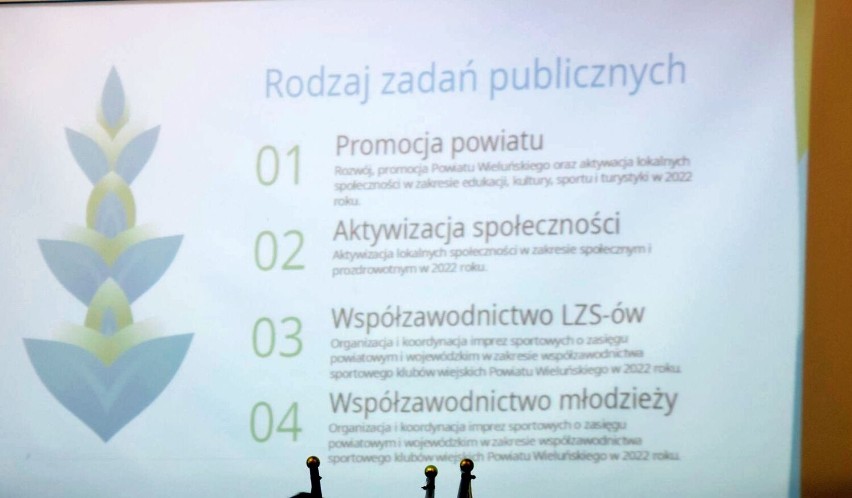 Dotacje dla organizacji społecznych z budżetu powiatu wieluńskiego. Odbyło się pierwsze spotkanie informacyjne FOTO