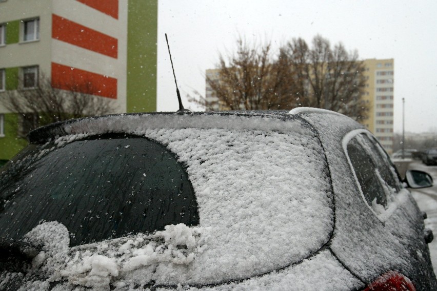 Piotrków, zima 2020: Pierwszy śnieg w tym roku spadł w...