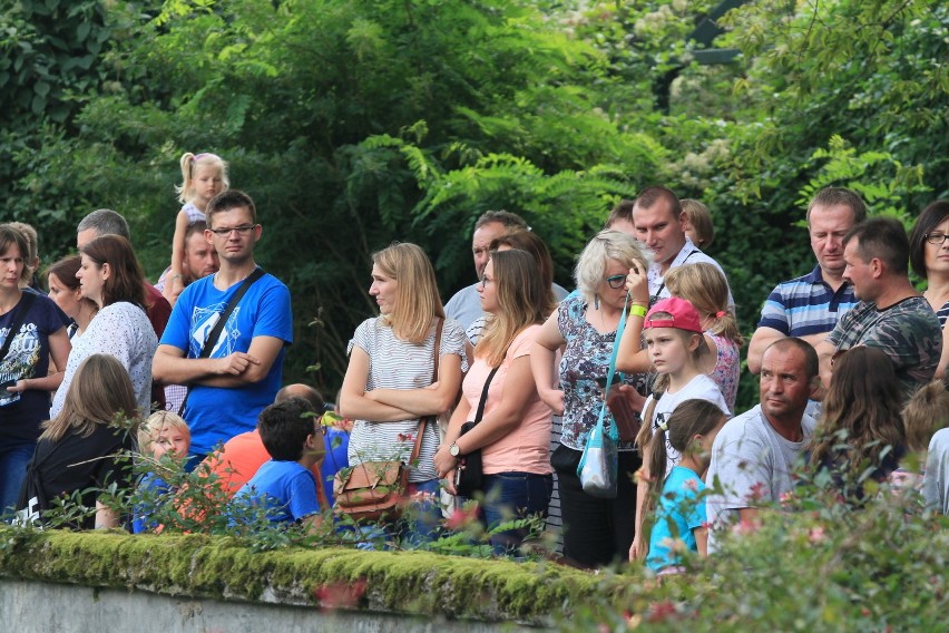 Zoo w Łodzi: dzień wielkich kotów i tłumy zwiedzających [ZDJĘCIA]