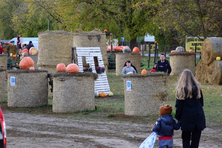 W Obórzni pod Łabiszynem, tuż przy drodze wojewódzkiej nr...