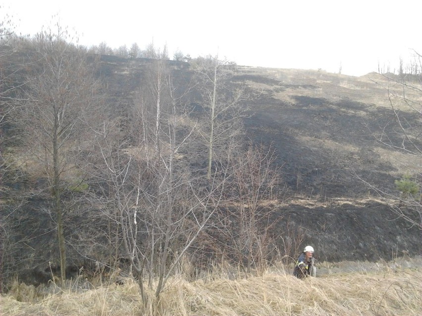 Świerklany: pożar trawy na hałdzie w Jankowicach
