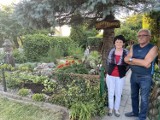 Gniezno: Zielony Konkurs na najpiękniejszy taras, balkon i ogród