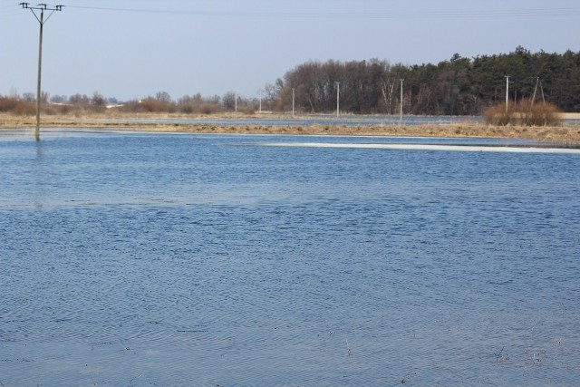 Rzeka Wieprz wystąpiła z koryta. Stan alarmowy został przekroczony o 20 cm.