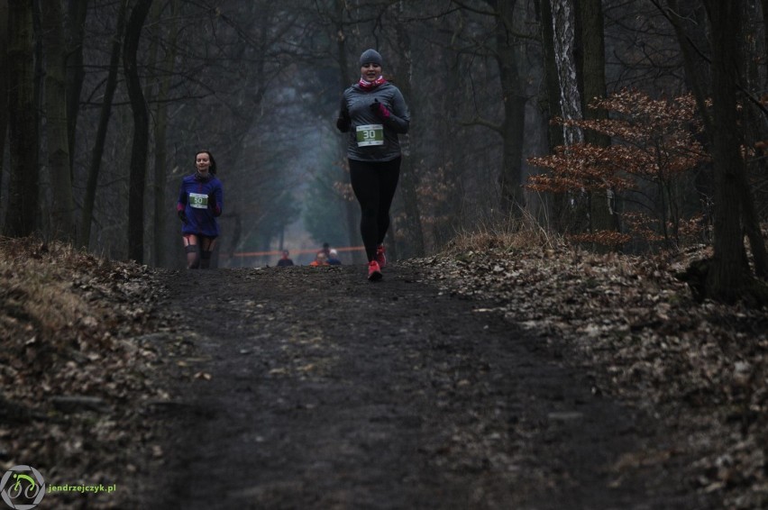 City Trail w Katowicach - zdjęcia z finałowego biegu [28 luty 2016]